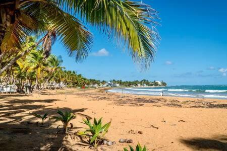 Ferienwohnung Seaside Serenity - Cozy Studio Luquillo Exterior foto